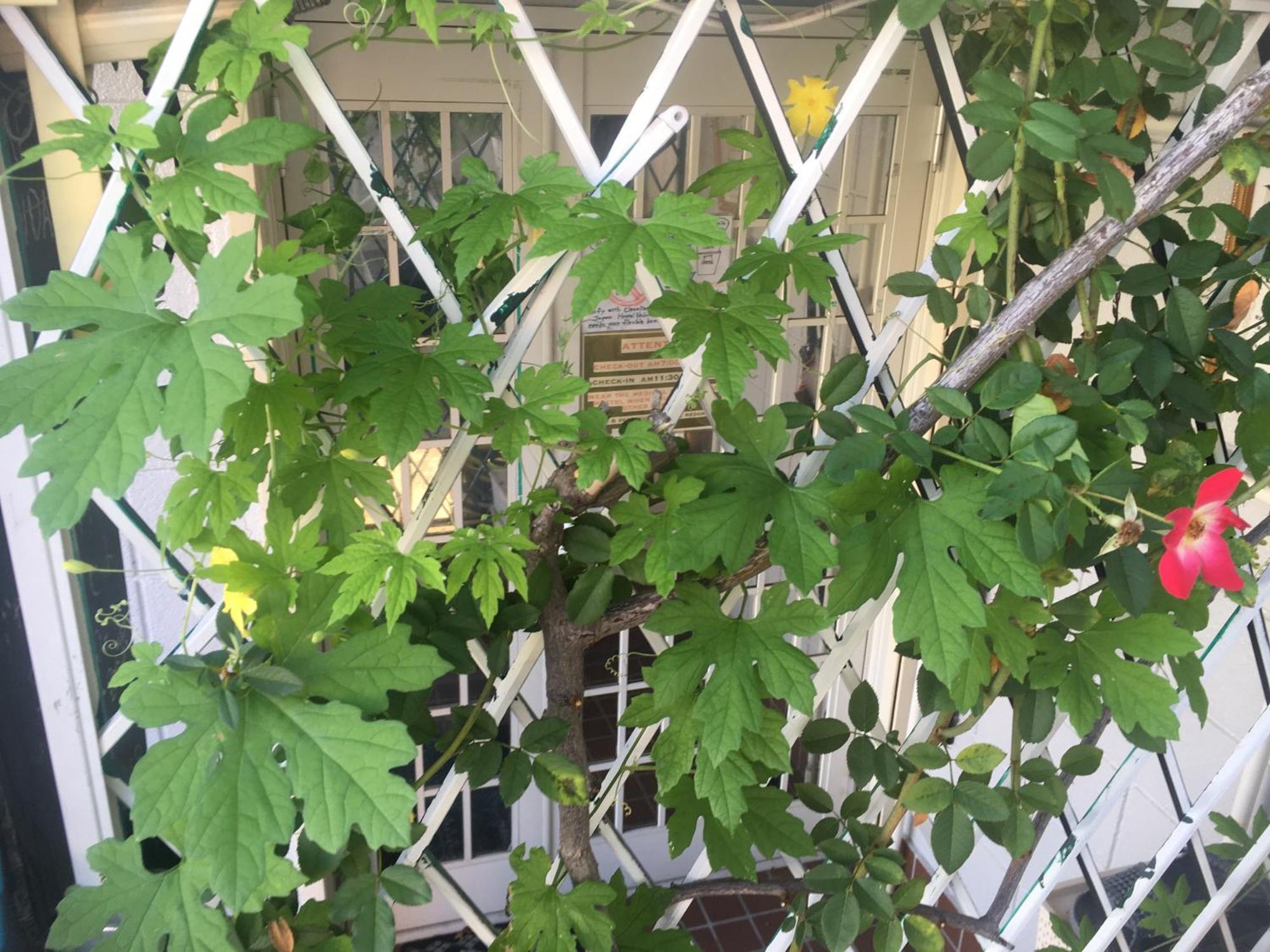 Wagyu Hostel Nedoko Ναγκασάκι Εξωτερικό φωτογραφία